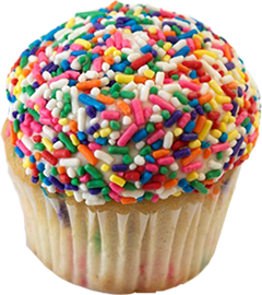 12+ Nadia Cakes Woodbury